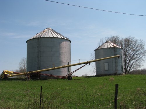 Property photo 26 - 137 Acres in 2 Tracts - 64 Tillable Acres, Potential Building Sites, Hunting